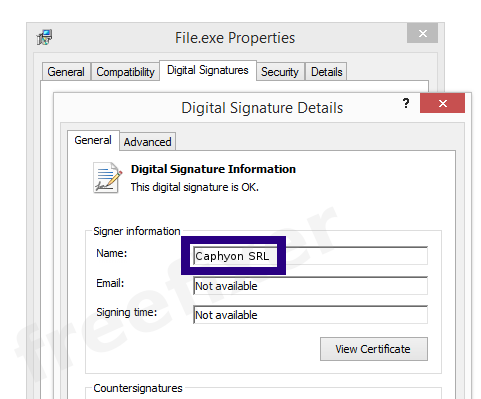 Screenshot of the Caphyon SRL certificate
